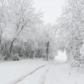 hiver 2010