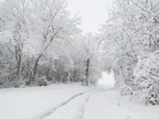 hiver 2010