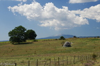 Borie (petite maison de berger en pierre) avec vue sur le Mt Ventoux